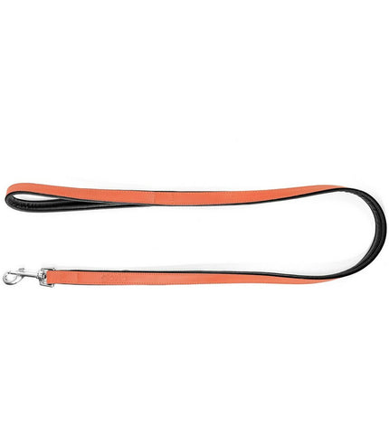 Gloria hondenriem 1.8 x 100 cm in koraal kleur, durable leash made for walking dogs, with sturdy clasp and soft handle.