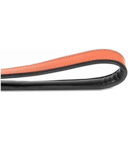 Gloria hondenriem 1.8 x 100 cm in koraal kleur, durable leash with metal clip for walking dogs.