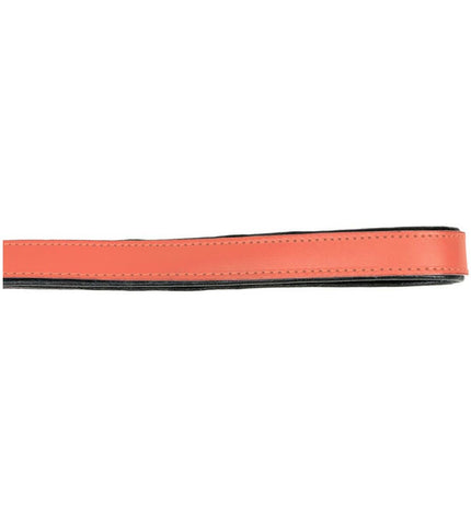 Gloria hondenriem in koraal kleur, 1.8 x 100 cm, made for dog walking, featuring durable material and secure clasp.