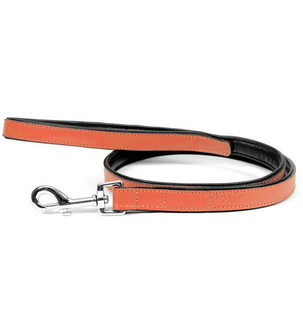 Gloria hondenriem Koraal 1.8 x 100 cm, durable dog leash in coral color, suitable for walking and training.