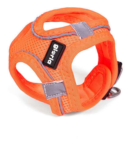Orange adjustable Gloria Air Mesh dog harness for small breeds, size XXXS (18-20 cm) with breathable mesh for comfort.