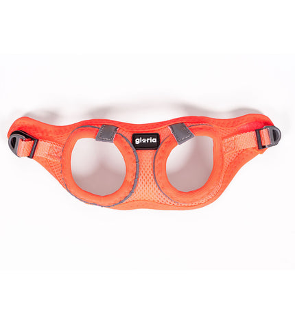 Orange Gloria Trek Star dog harness for XXS size, adjustable 24-26 cm and 28-28.6 cm, suitable for small dogs.