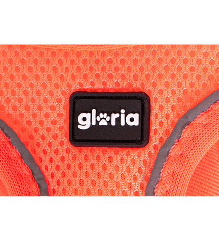 Orange Gloria Trek Star dog harness for small breeds, adjustable for 24-26 cm or 28-28.6 cm neck size, XXS size, pet accessory.