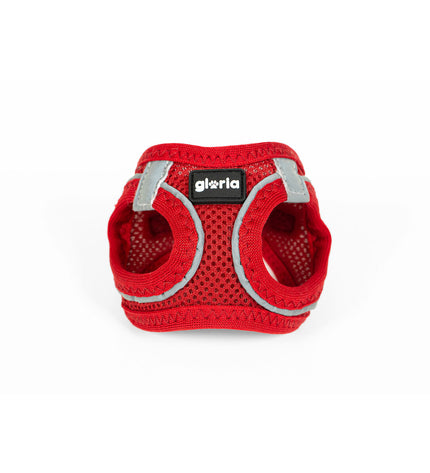 Red Gloria Trek Star dog harness in XXS size, adjustable for small dogs, with padded straps and secure buckle.