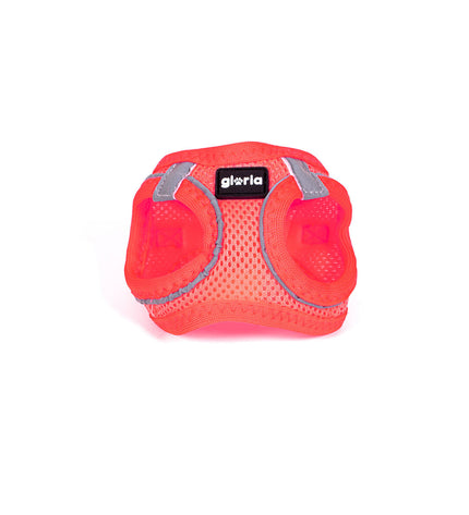 Pink Gloria Trek Star dog harness for small dogs, adjustable 27-28 cm and 31-34.6 cm, suitable for pets.