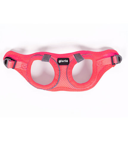 Pink Gloria Trek Star dog harness for small dogs, adjustable 27-28 cm and 31-34.6 cm, lightweight and comfortable.