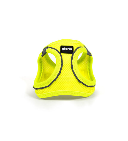 Yellow Gloria Trek Star dog harness for small dogs, adjustable 27-28 cm and 31-34.6 cm, shown on a dog.