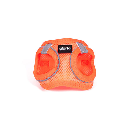Orange Gloria Trek Star dog harness for small dogs, adjustable 27-28 cm and 31-34.6 cm, comfortable and secure for pets.