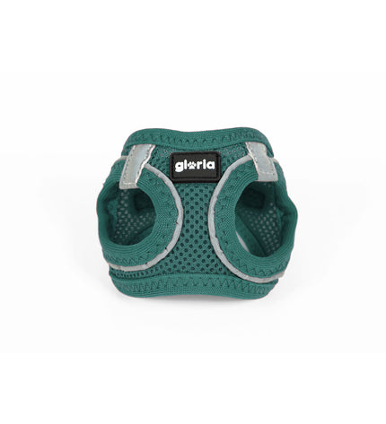 Turquoise Gloria Trek Star dog harness for small dogs, adjustable 27-28 cm and 31-34.6 cm, ideal for comfortable pet walking.