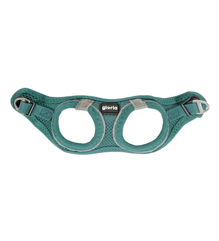 Turquoise Gloria Trek Star dog harness for small dogs, adjustable 27-28 cm to 31-34.6 cm, ideal for comfortable walking.