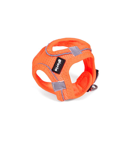 Orange Gloria Trek Star dog harness for small dogs, adjustable 29.4-32.6 cm neck and 41.4-43 cm chest, comfortable pet restraint