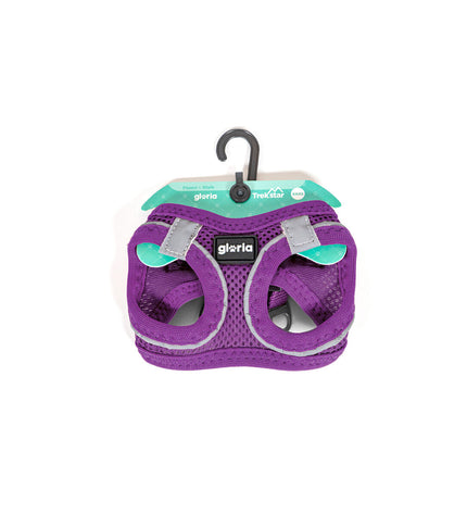 Purple Gloria dog harness for small dogs, measuring 41.4-43 cm neck and 29.4-32.6 cm chest, made from durable materials.