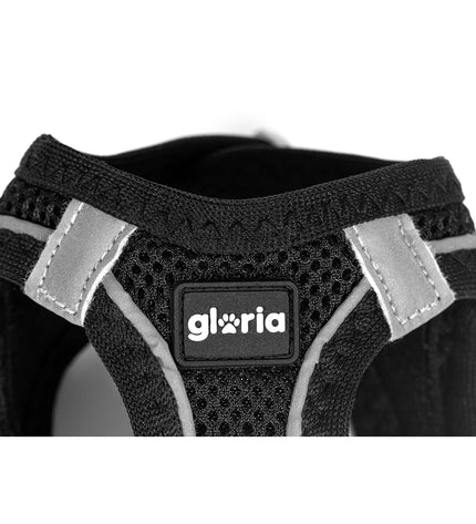 Black Gloria Trek Star dog harness in size Small, adjustable for neck 29.4-32.6 cm and chest 41.4-43 cm, shown on a dog.