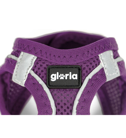 Purple Gloria Trek Star dog harness for medium-sized dogs, adjustable, with a secure buckle and padded straps.
