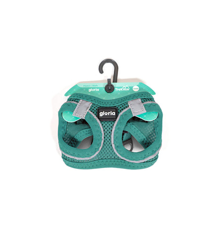 Turquoise Gloria Trek Star dog harness in size L, with adjustable straps for medium to large dogs, shown on a dog.