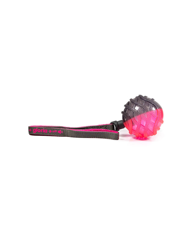 Gloria dog ball launcher in gray and pink TPR material, designed for interactive play with dogs.