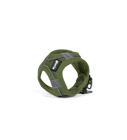 Green Gloria dog harness for small to medium dogs, adjustable 24.5-26 cm neck and 18-20 cm chest, comfortable and secure fit.