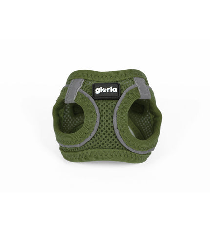 Green Gloria dog harness for small dogs, 28-28.6 cm neck, 24-26 cm chest, made of durable material.