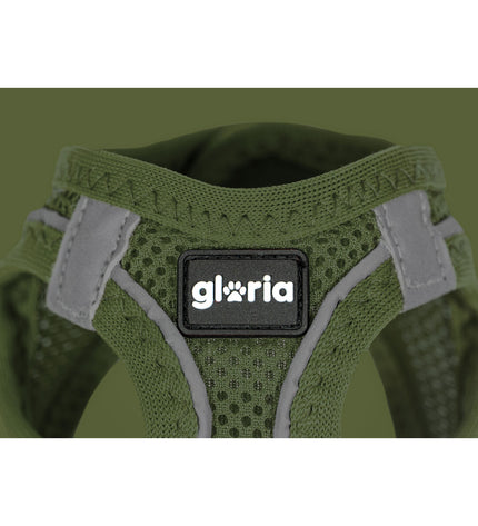 Green Gloria dog harness for small dogs, adjustable neck 29.4-32.6 cm and chest 41.4-43 cm, comfortable and secure fit.