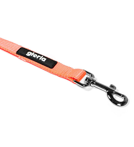 Orange Gloria dog leash with black handle and metal clip, designed for secure walking of small dogs.