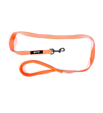 Orange Gloria dog leash for small dogs, durable nylon material with metal clip, designed for secure walking and control.