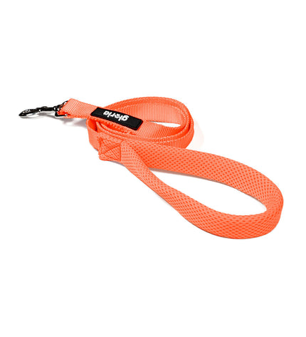 Orange Gloria dog leash with sturdy design, suitable for small dogs, shown on a white background.
