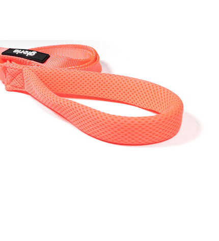 Pink Gloria dog leash for small dogs, showing the soft nylon strap and metal clasp for secure walking.