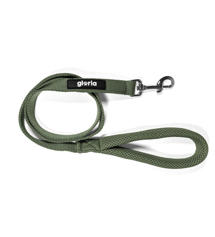 Green Gloria dog leash, 120 cm long, durable nylon material, suitable for walking small to medium dogs, with metal clasp.