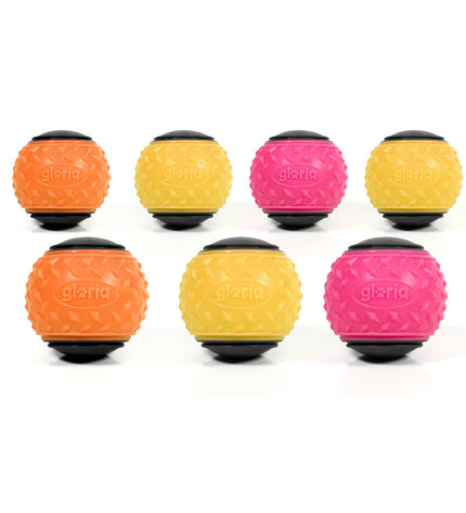 Colorful Gloria dog toy set with 24 multicolour TPR dog toys, ideal for interactive play and chewing.