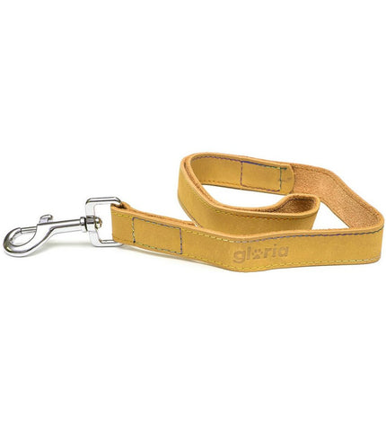 Yellow Gloria Oasis dog leash, 1.5 x 100 cm, shown with clasp and durable nylon material for secure walking.