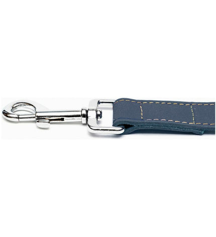 Blue Gloria Oasis dog leash, 1.5 x 100 cm, with sturdy design and comfortable handle, perfect for walking dogs.