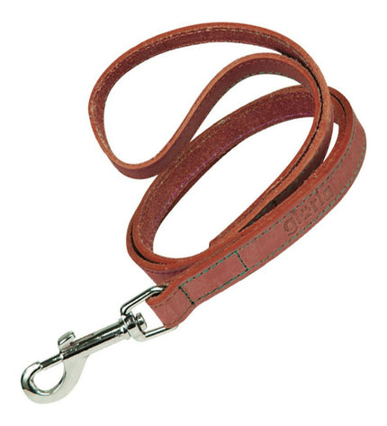 Red Gloria Hondenriem Oasis 1.5 x 100 cm, durable dog leash with padded handle, suitable for walking dogs.