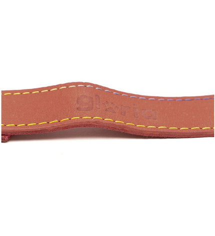 Red Gloria Oasis dog leash, 1.5 x 100 cm, durable nylon material, designed for secure walking of dogs.