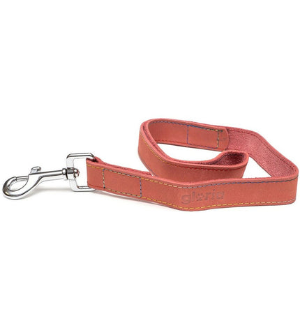 Pink Gloria Oasis dog leash, 1.5 x 100 cm, durable nylon dog lead for pets, ideal for walking and training.