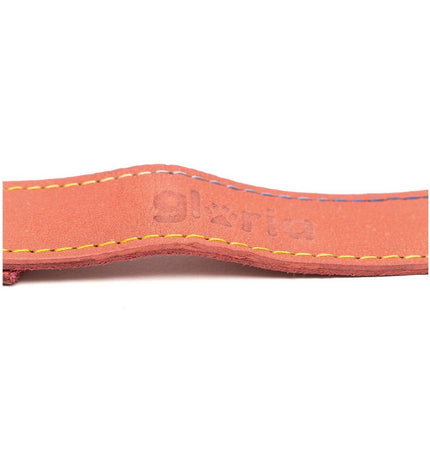 Pink Gloria Oasis dog leash, 1.5 x 100 cm, shown with clasp and durable nylon material for pet walking.