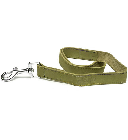 Green Gloria Oasis dog leash, 1.5 x 100 cm, made of durable material, designed for walking and controlling your dog.