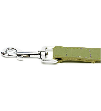 Green Gloria Oasis dog leash, 1.5x100 cm, durable and comfortable for walking your pet.