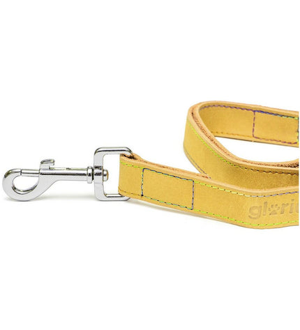 Yellow Gloria Oasis dog leash 2.1 x 100 cm made of durable material, designed for safe and comfortable walking with your dog.