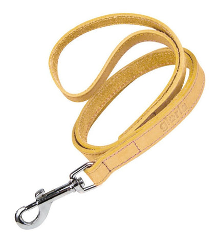 Yellow Gloria Oasis dog leash measuring 2.1 x 100 cm, shown in a natural outdoor setting with a dog.