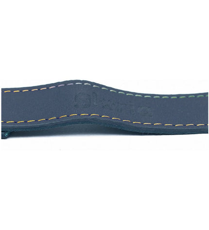 Blue Gloria Hondenriem Oasis 2.1 x 100 cm with sturdy nylon strap and metal clip, designed for secure dog walking.