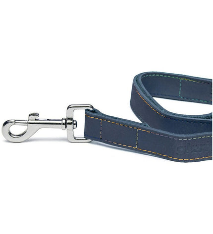 Blue Gloria Oasis dog leash measuring 2.1 x 100 cm, durable nylon material for secure walking of pets.