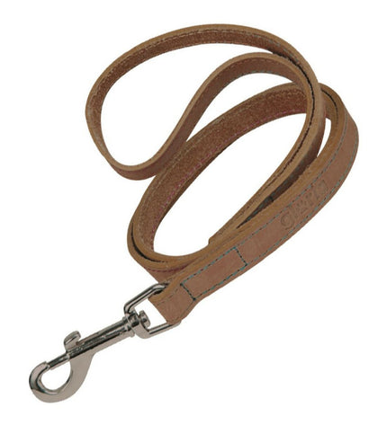 Gloria Oasis dog leash in brown, 2.1 x 100 cm, showing a sturdy design with padded handle for comfortable walking.