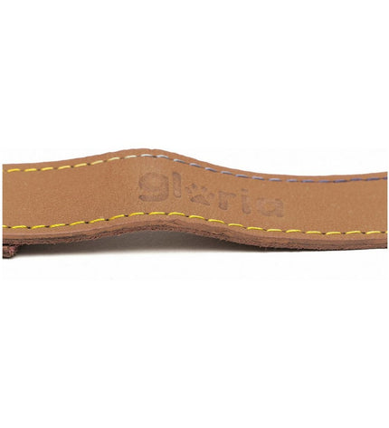 Gloria Oasis dog leash in brown, 2.1x100 cm, durable nylon material for walking and training your dog.