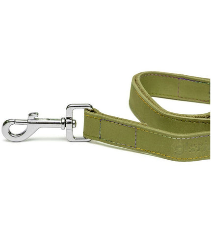 Green Gloria Oasis dog leash, 2.1 x 100 cm, made of durable material, designed for secure walking with dogs.