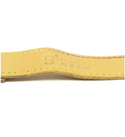 Yellow Gloria Oasis dog leash, 3 x 60 cm, with sturdy fabric and metal clip, suitable for daily walks with dogs.