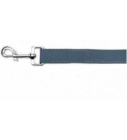Blue Gloria Oasis dog leash, 3x60 cm, made of durable material, suitable for walking and training dogs.