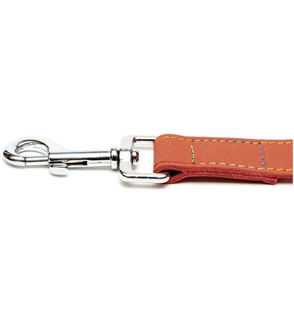 Red Gloria Oasis dog leash, 3 x 60 cm, made of durable material, suitable for walking and training dogs.