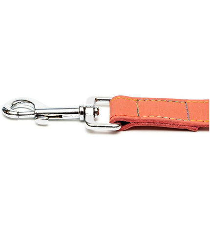 Pink Gloria Oasis dog leash 3 x 60 cm, durable nylon with metal clasp, suitable for walking dogs.
