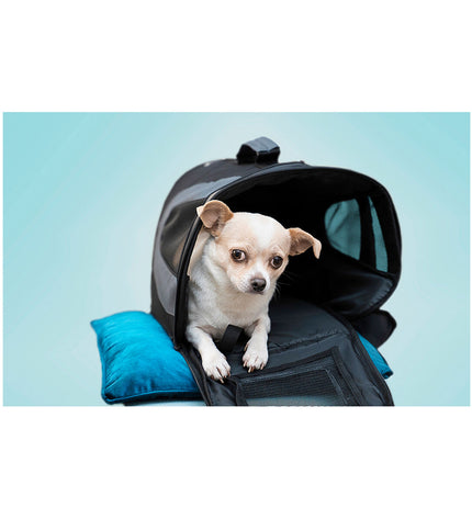 Black Gloria foldable dog hamper in size S with dimensions 35x22x23 cm, made of durable material for pet storage.