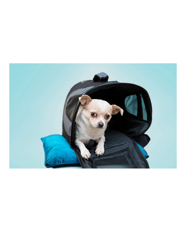 Black Gloria foldable dog hamper in size S with dimensions 35x22x23 cm, made of durable material for pet storage.